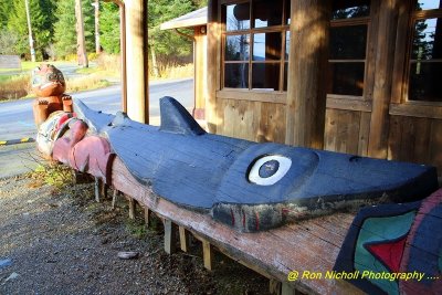 Ketchikan_Saxman_Nov2020_0082 [1024x768 y].JPG