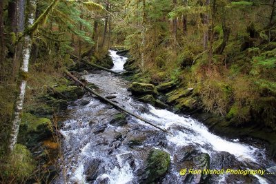 Ketchikan_SettlersCove_Nov2020_0095 [1024x768 y].JPG