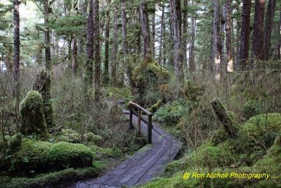 Ketchikan_SettlersCove_Nov2020_0096 [1024x768 y].JPG