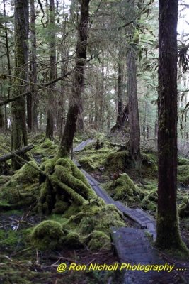 Ketchikan_SettlersCove_Nov2020_0103 [1024x768 y].JPG