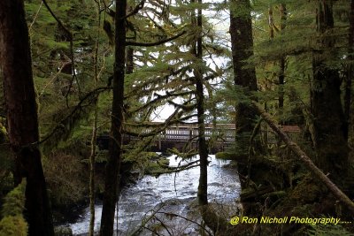 Ketchikan_SettlersCove_Nov2020_0112 [1024x768 y].JPG