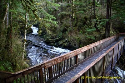Ketchikan_SettlersCove_Nov2020_0113 [1024x768 y].JPG