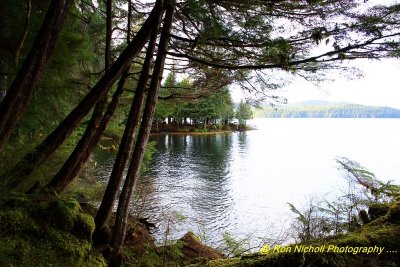Ketchikan_SettlersCove_Nov2020_0115 [1024x768 y].JPG