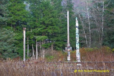 Ketchikan_TotemBight_Nov2020_0133 [1024x768 y].JPG