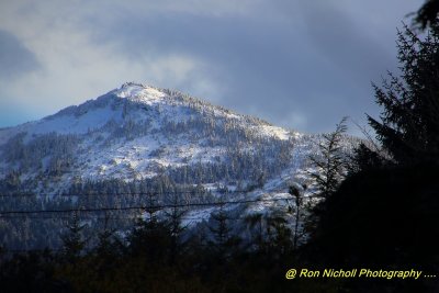 Ketchikan_TotemBight_Nov2020_0148 [1024x768 y].JPG