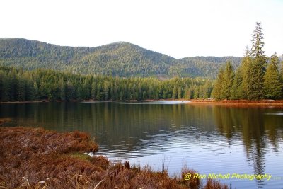 Ketchikan_WardLake_Nov2020_0094 [1024x768 y].JPG