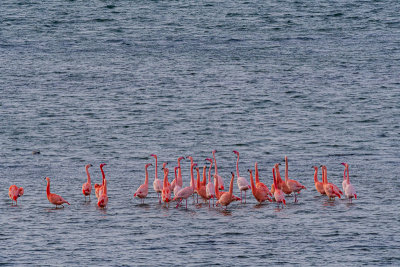 _DSC1474.jpg