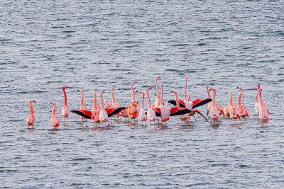_DSC1507.jpg