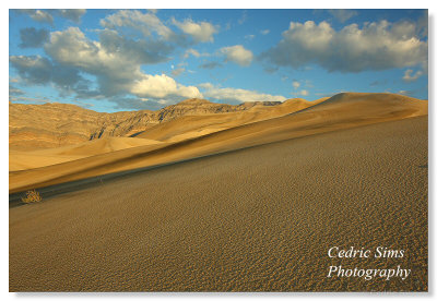 Eureka Dunes 2010