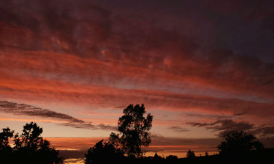 20200517_211602_Zoom.jpg