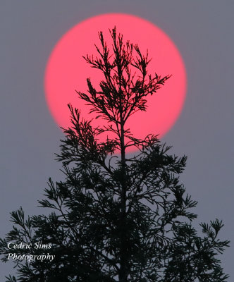 Smokey Sunset view from my backyard