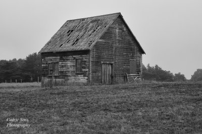  Spring Ranch on the Mendocino Coast