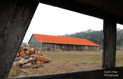 Spring Ranch on the Mendocino Coast