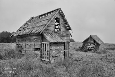 North Coast Architecture