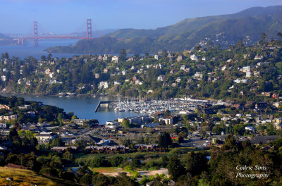 View from Tiburon