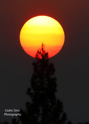 Smokey Sunrise from the Caldor Fire