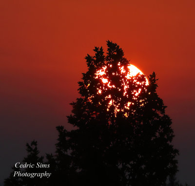 Smokey Sunrise from the Caldor Fire