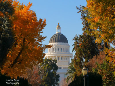 State Capitol Fall 2021 