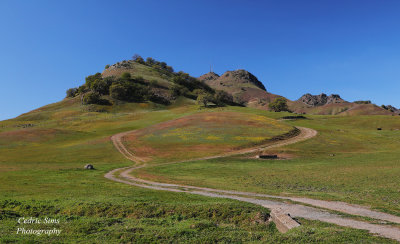 Sutter Buttes 2022