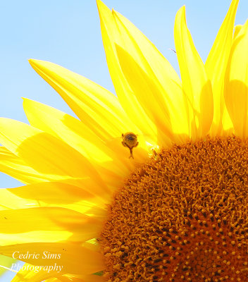 196A4228_crop2.jpg