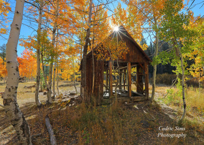  Martis Creek Cabin 2022