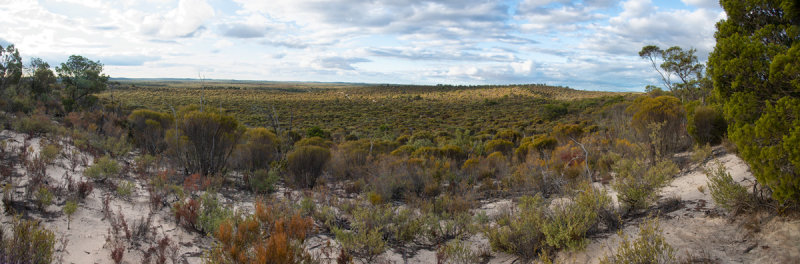 Border Track Panorama.jpg