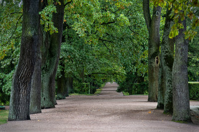 St Petersburg and Peterhof