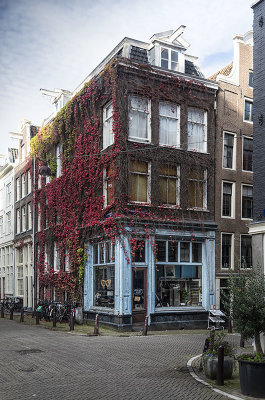 Amsterdam_Oct 2019_D1A8660s.jpg