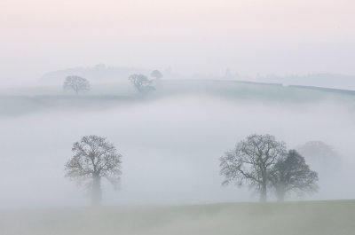Misty Morning near Bardninch