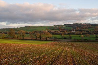 The Culm valley from Hele Payne farm