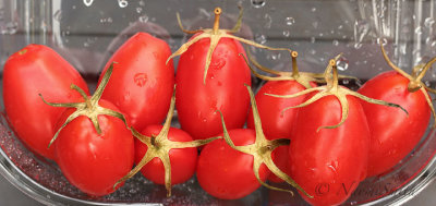 Tomatoes Juliet AU19 #4298