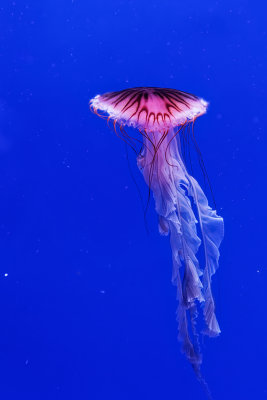 IMG_8280_DxO.jpg