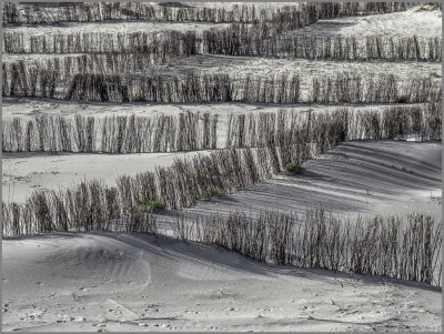 making the dunes