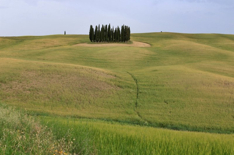 Tuscany. Val DOrcia