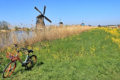 Kinderdijk's Windmills