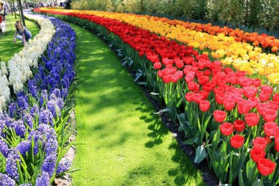 Keukenhof Gardens