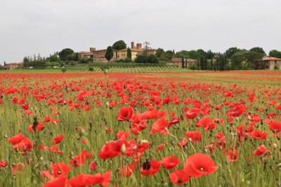 La Toscana (Tuscany)