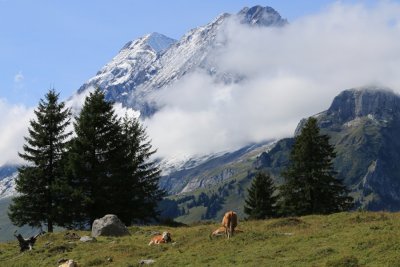 Kandersteg