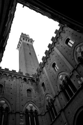 Siena. Torre del Mangia