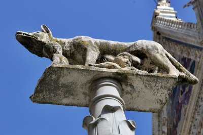 Siena. Piazza del Duomo