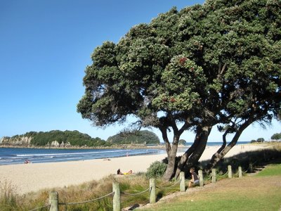 Mount Maunganui 