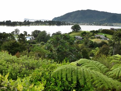 Coromandel Peninsula