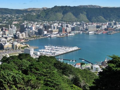 Wellington. View from Mount Victoria