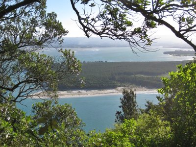 Mount Maunganui 