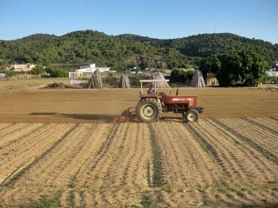 Agriculture in Malgrat