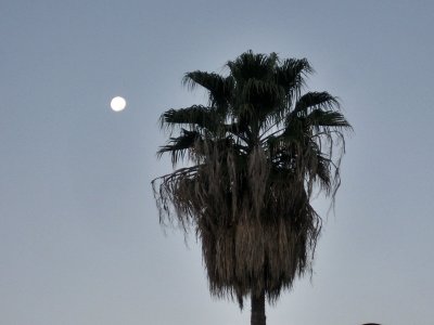 Passeig Marítim