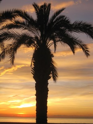 Platja de Santa Susanna