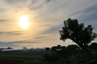 Plà de Grau