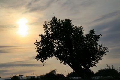 Plà de Grau