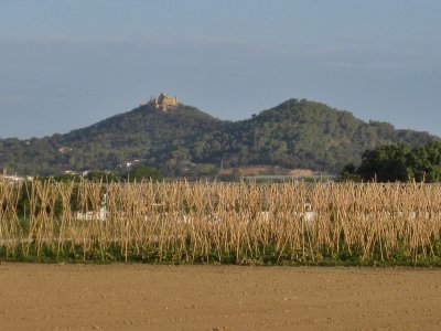 Plà de Grau